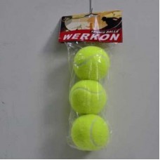 Теннисные мячи Werkon 919 3 шт.
