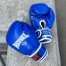 Боксерские перчатки Reyvel синие в наличии в магазине Сайд-Степ